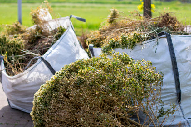 Best Appliance Removal Near Me  in Worthington, MN